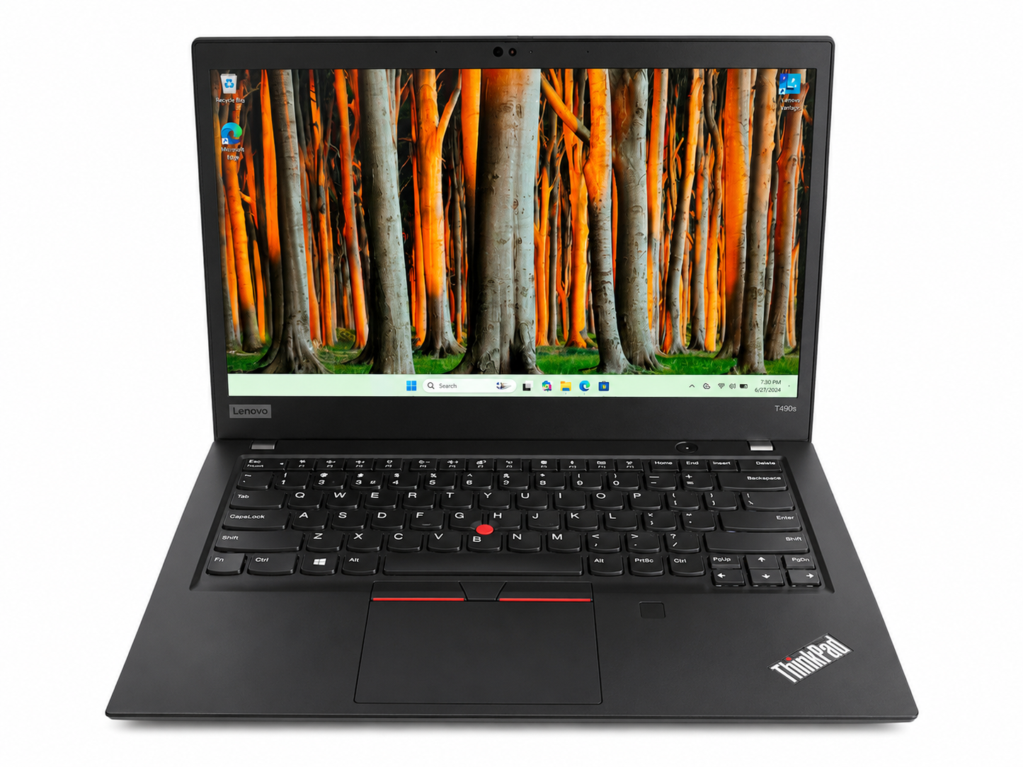 LENOVO ThinkPad T490s